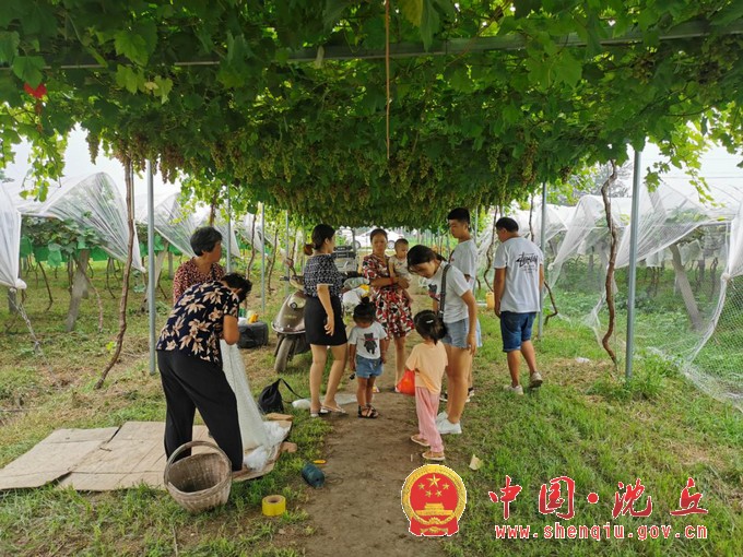 图片5.jpg