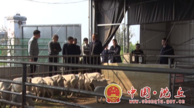 省调研组到我县督导调研农业信贷担保助推农业高质量发展试点工作2.jpg