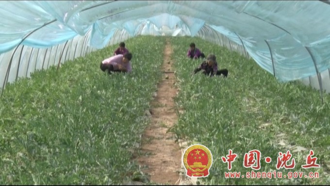 微信图片_20210414171157.jpg