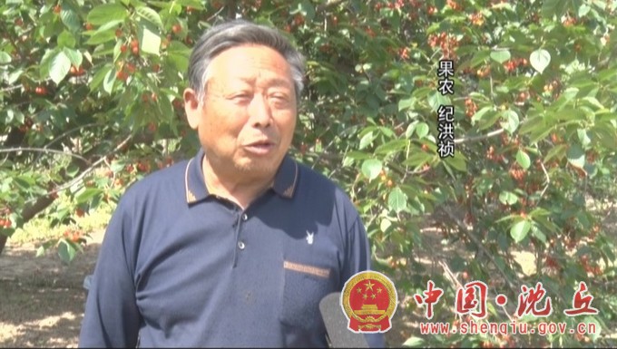 【2021-5-3】小小甜樱桃——乡村振兴“朝阳”产业 (1).jpg