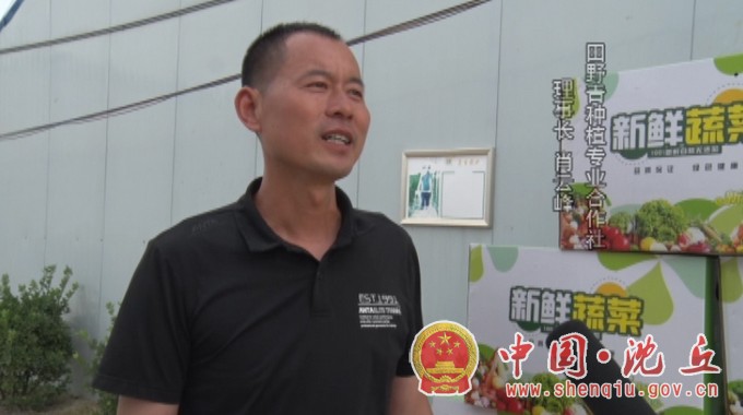 【2021-5-31】【乡村振兴村村行】肖门村：小小西红柿 映红乡村振兴路 (3).jpg