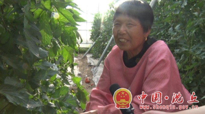 【2021-5-31】【乡村振兴村村行】肖门村：小小西红柿 映红乡村振兴路 (2).jpg