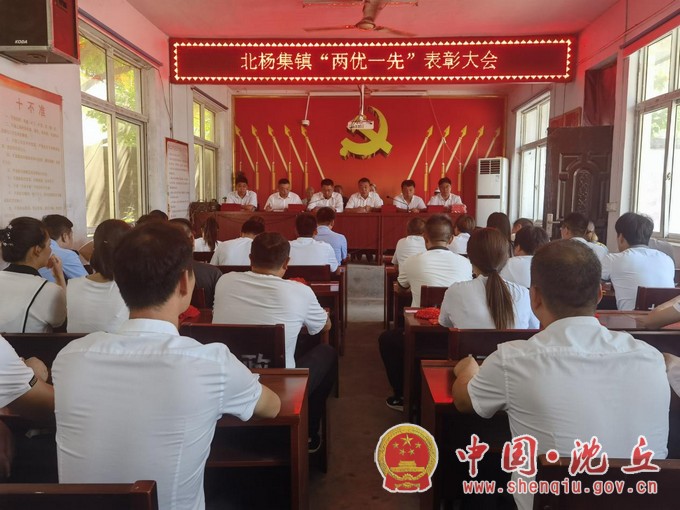 【2021-7-1】北杨集镇：召开庆祝建党100周年暨“两优一先”表彰大会 (8).jpg