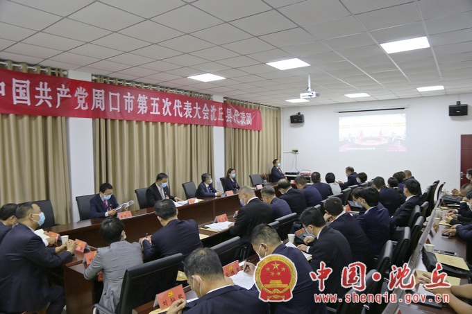 出席市第五次党代会的沈丘代表团召开第二次会议.jpg