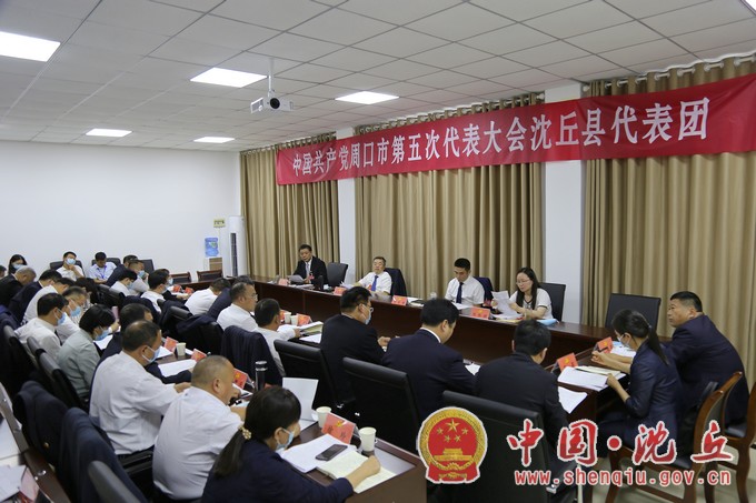 【2021-9-28】建言献策 共谋发展 我县代表团继续开展分组讨论.jpg