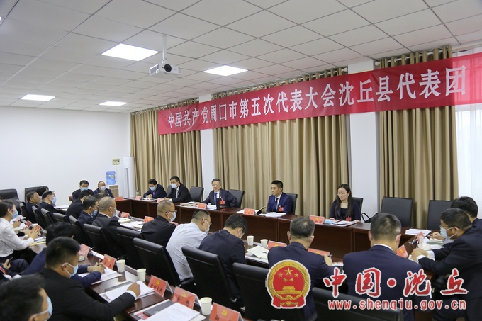【2021-9-29】我县代表团认真讨论审议市纪委工作报告.jpg