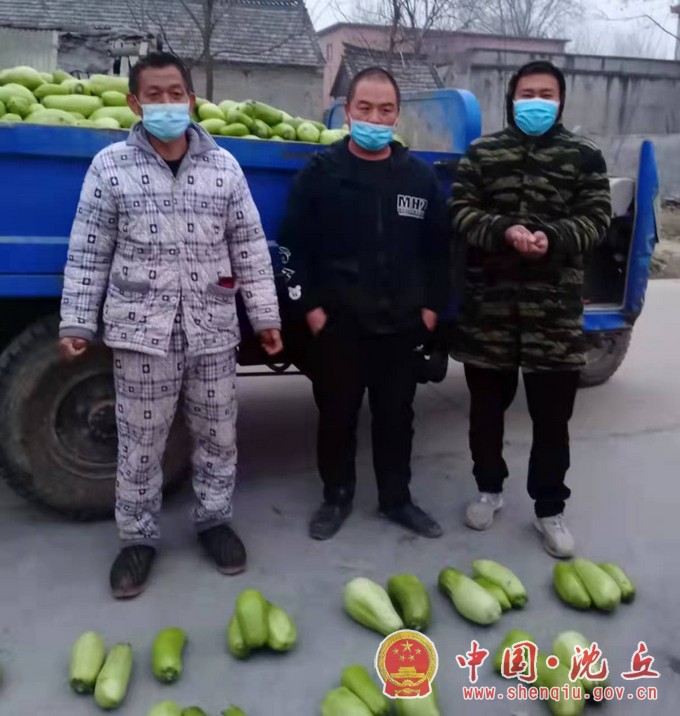 周营镇：“爱心茄子”送到群众家门口1.jpg