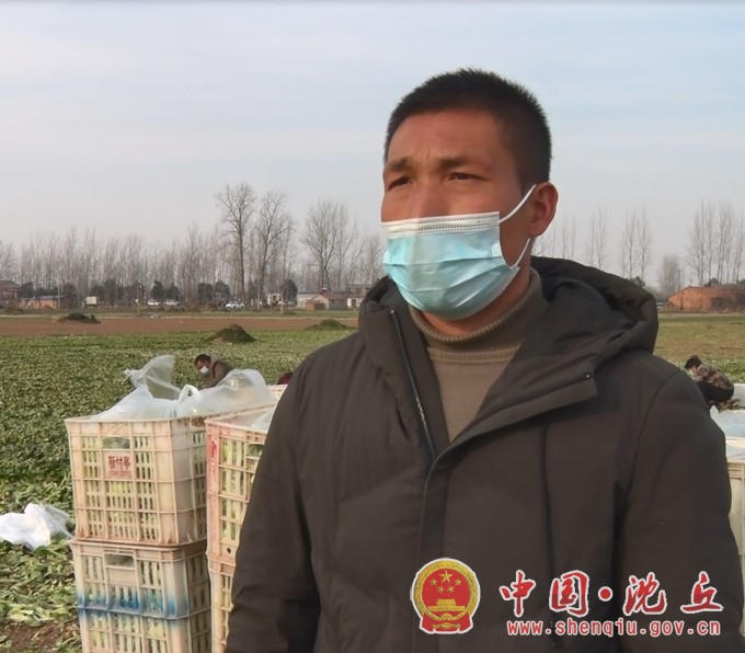 献爱心显真情 捐赠蔬菜暖人心2.jpg