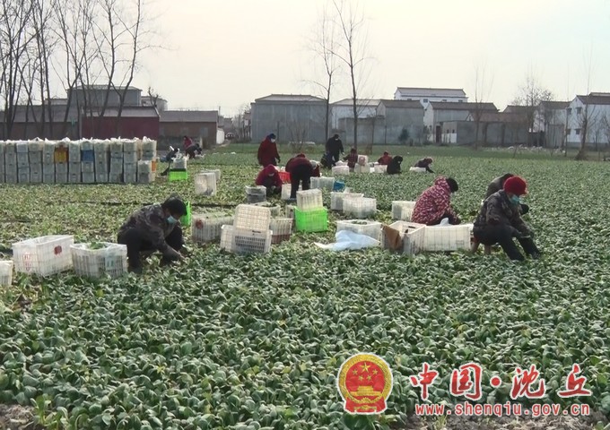 献爱心显真情 捐赠蔬菜暖人心1.jpg