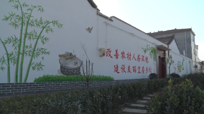 白1.jpg
