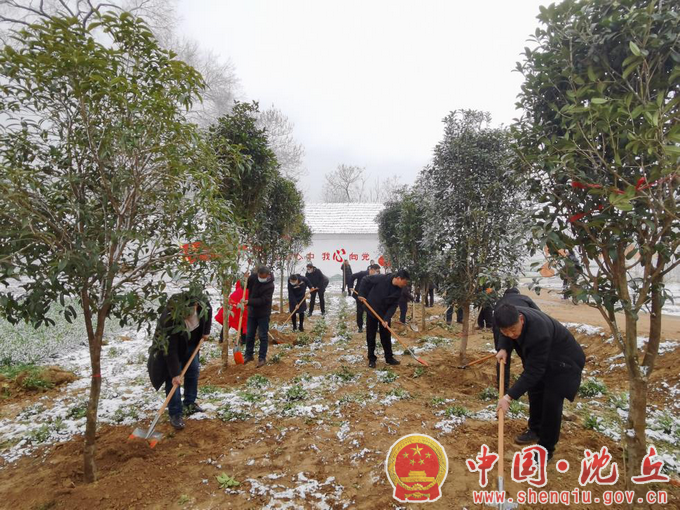 【2022-2-7】不负春光开好局 植树添绿正当时 (3).png