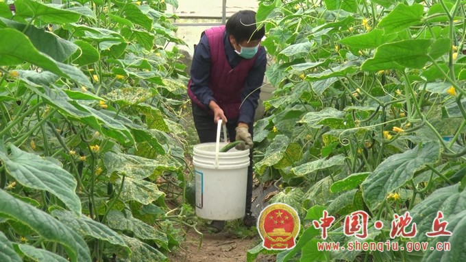 沈丘：“蔬菜直通车”开到家门口 “点对点”保供更安心.mp4_20220511_164458.436.JPG