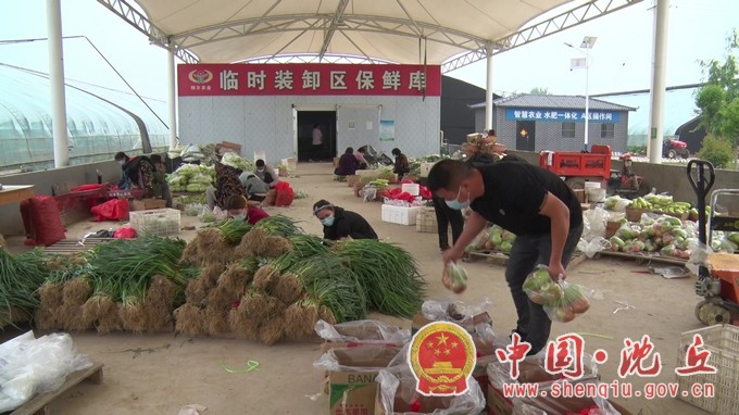 沈丘：“蔬菜直通车”开到家门口 “点对点”保供更安心.mp4_20220511_164513.308.JPG