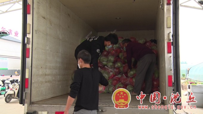 沈丘：“蔬菜直通车”开到家门口 “点对点”保供更安心.mp4_20220511_164520.804.JPG