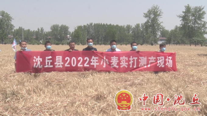 【2022-6-6】沈丘：实打测产，“测”出丰收底气 (1).png