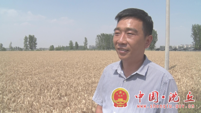【2022-6-6】沈丘：实打测产，“测”出丰收底气 (5).png