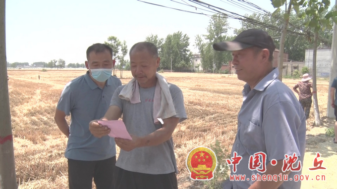 【2022-6-6】沈丘：实打测产，“测”出丰收底气 (4).png