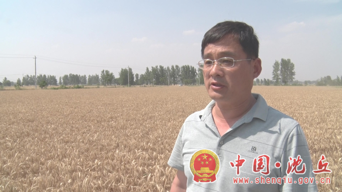 【2022-6-6】沈丘：实打测产，“测”出丰收底气 (6).png