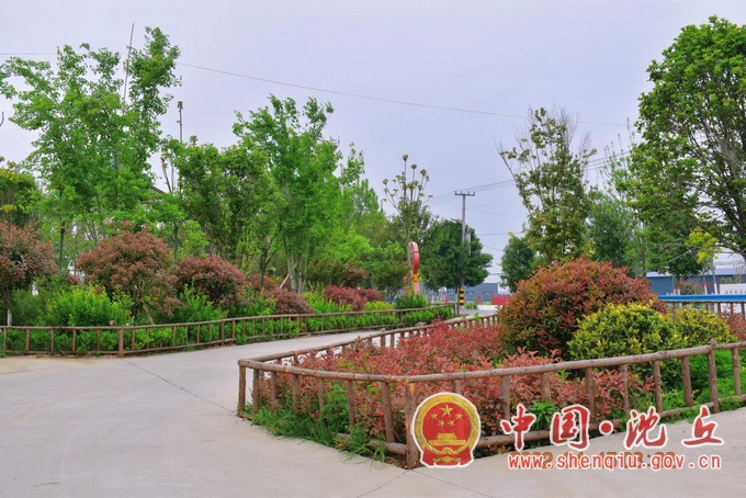 290C6329@2400E627.882A4263.png.jpg