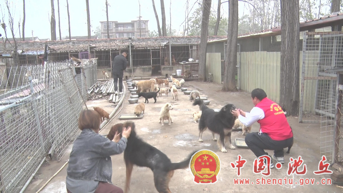 【2022-11-28】爱心，让“毛孩子”有了家 (4).png