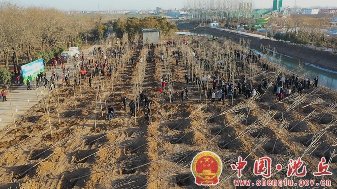 【2023-1-28】我县组织开展“美丽大花园 幸福新沈丘”2023年全民义务植树活动 (2).jpg