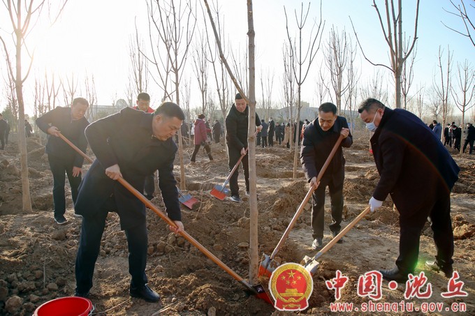 【2023-1-28】我县组织开展“美丽大花园 幸福新沈丘”2023年全民义务植树活动 (6).jpg