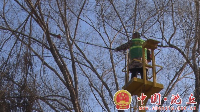 沈丘园林绿化精细修剪忙不停.mp4_20230215_105508.603.jpg