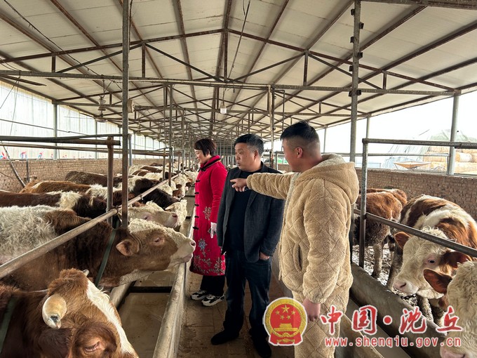 一个村党支部书记的乡村振兴梦2.jpg