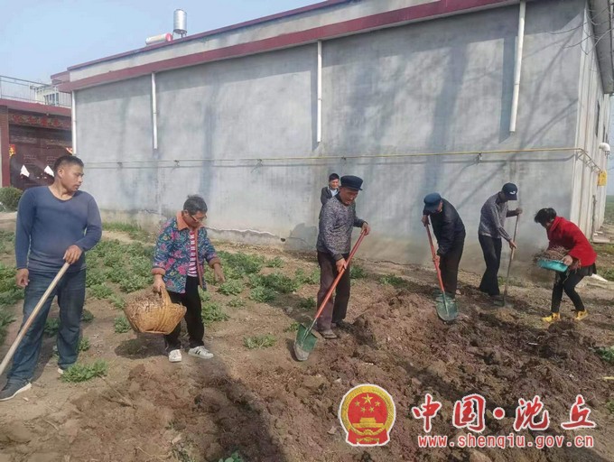 李老庄乡发展艾草产业 争创“产业兴旺星”（3）.jpg