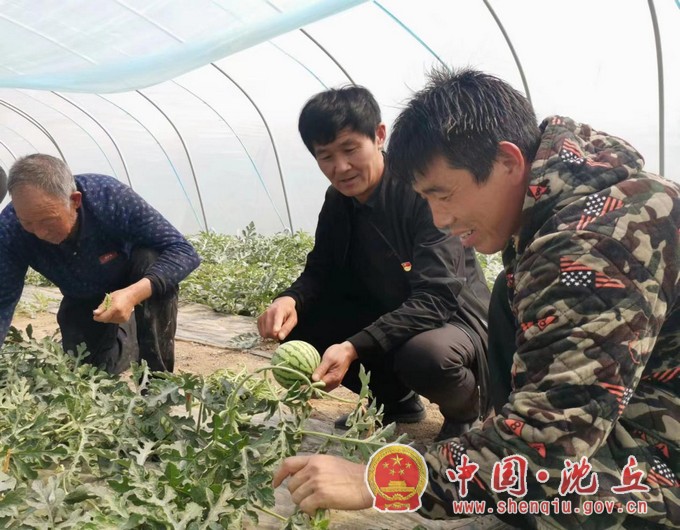 图片2.jpg
