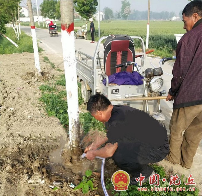 卞路口乡：精心浇水管护 确保栽植树木存活率（1）.jpg