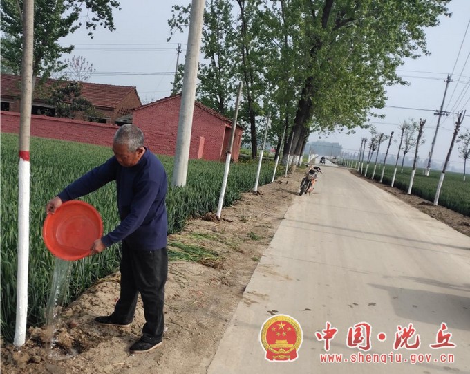 卞路口乡：精心浇水管护 确保栽植树木存活率（3）.jpg