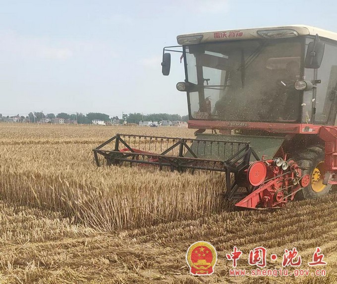 老城镇：抢农时 战“三夏”  确保夏粮颗粒归仓2.jpg