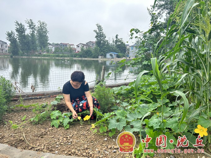 石槽集乡：干群联袂点亮“生态宜居星”1.jpg