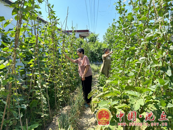 石槽集乡：干群联袂点亮“生态宜居星”2.jpg
