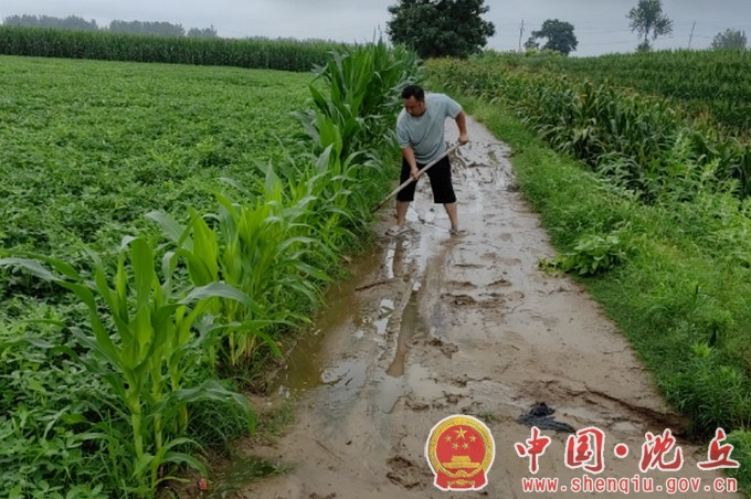 【2023-8-1】赵德营镇有序推进农村人居环境整治与修复工作（3）.jpg