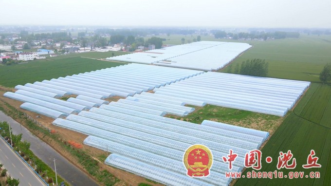 沈丘：发展特色产业 助力乡村兴 (2).mp4_20230918_112437.110.jpg