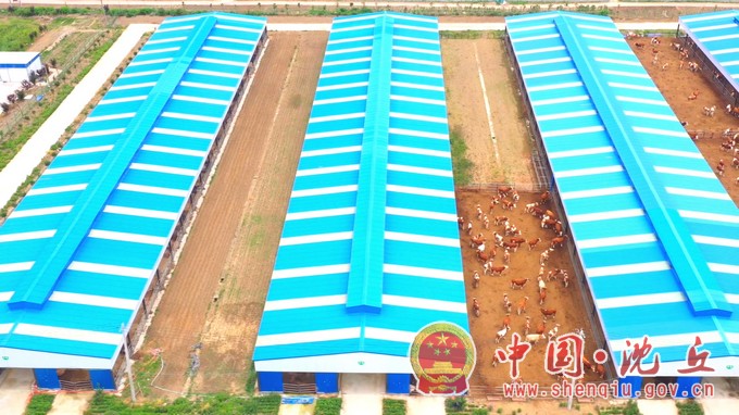 沈丘：发展特色产业 助力乡村兴 (2).mp4_20230918_112609.614.jpg