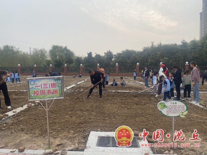 【2023-10-12】县树人小学开展劳动实践活动 (3).jpg
