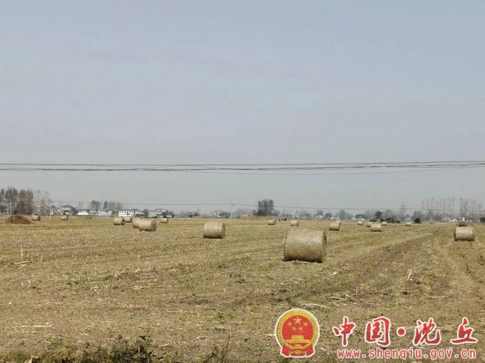 李老庄 (1).jpg