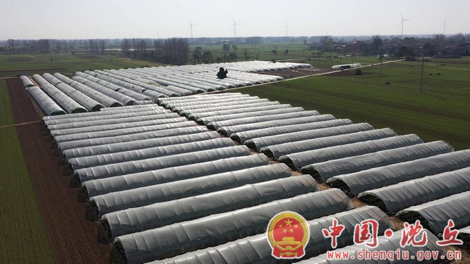 【2023-11-8】我县开展主题教育提升软弱涣散村党组织整顿质效（4）.jpg