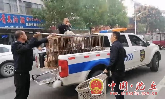 图片8.jpg