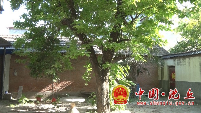 【2024-5-15】古树家族又添新成员（1）.jpg