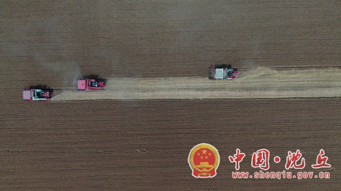 DJI_0887.MP4_20240527_101233.727.jpg
