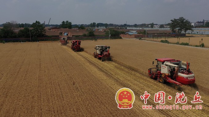 DJI_0890.MP4_20240527_101245.154.jpg