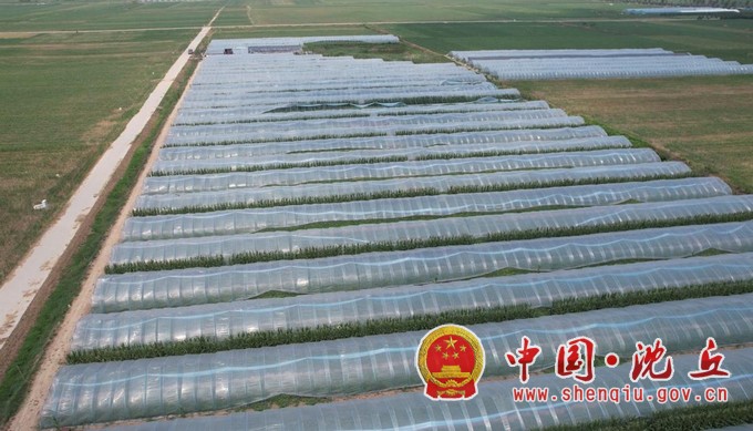 【2024-7-3】王俊礼：当好头雁守初心本色 用心绘就乡村振兴画卷（2）.jpg