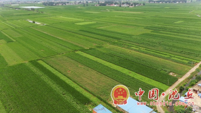 DJI_0306.MP4_20240722_102136.733.jpg