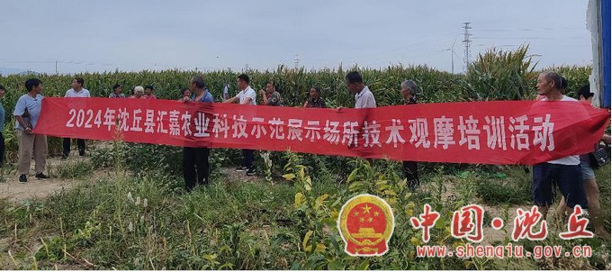 图片3.JPG