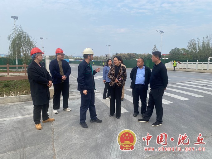 县人大常委会调研全县重点项目建设情况.jpg