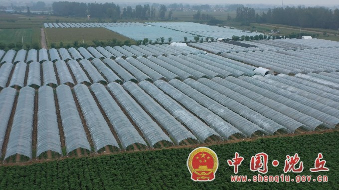 辣椒 (3).jpg